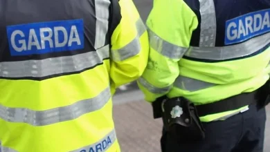 Man (40s) dies in workplace accident in south Dublin as Health and Safety Authority launches investigation