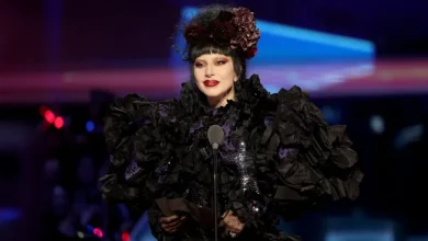 Man Who Rushed Ariana Grande at ‘Wicked’ Premiere Kicked Out of Lady Gaga Concert in Australia