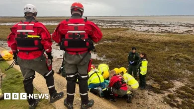 Man rescued after falling at Farlington Marshes
