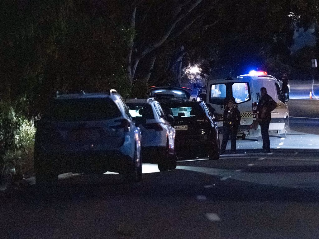 Man shot dead in the street at McLaren Flat