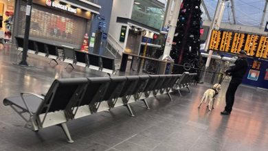 Manchester Piccadilly evacuated after suspicious bag alert