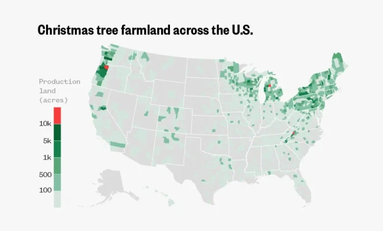 Map: Where in the U.S. Christmas trees are grown