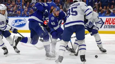 Maple Leafs-Lightning Game Out of Control [Watch]