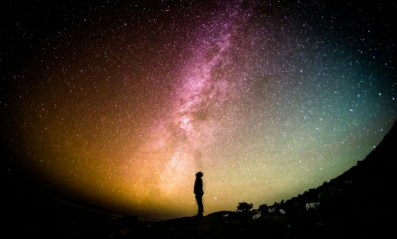 Maple Leafs Prospect Report: December 2nd News and Stars