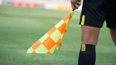 Marian Barbu şi Vlad Baban arbitrează meciurile de luni din Superligă