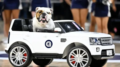 Marquette Men’s Basketball Big East Preview Primer: vs Georgetown