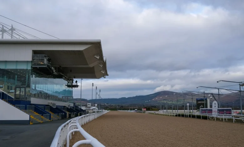 Massive delay to Dundalk races after multi-vehicle crash as punters warned to avoid area