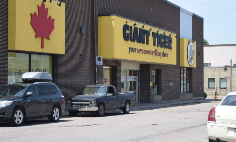 McCain recalls tater tots sold in Canada at Giant Tiger