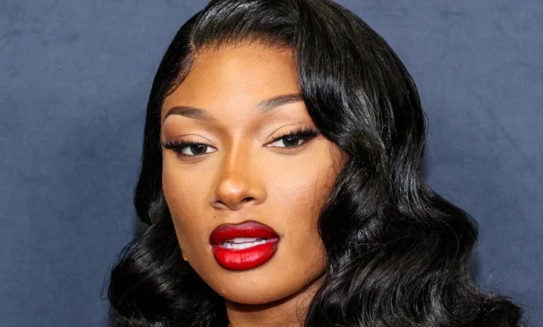 Megan Thee Stallion wins defamation civil suit against blogger