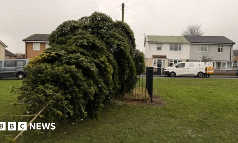 Men arrested after Shotton Colliery Christmas tree cut down