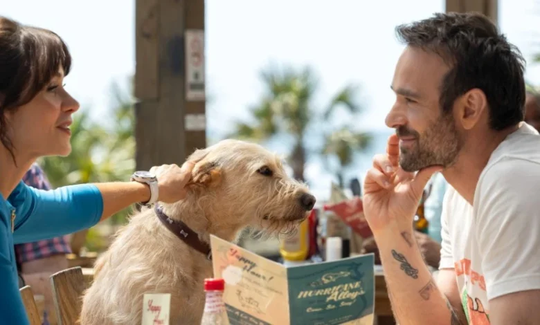 Merv movie review & film summary (2025)