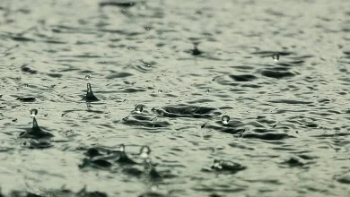 Met Éireann warns of unsettled conditions in Kerry as two status yellow alerts issued