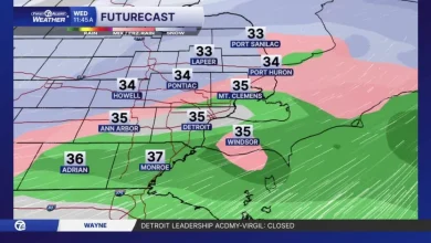 Metro Detroit Weather: Snow, sleet and rain in metro Detroit this morning