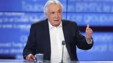 Michel Sardou : ce violent accident de la route passé sous silence