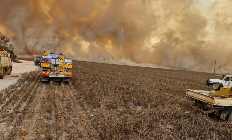 Mindarabin bushfire: Shire president Kate O’Keeffe says massive community response helping fight wild blaze