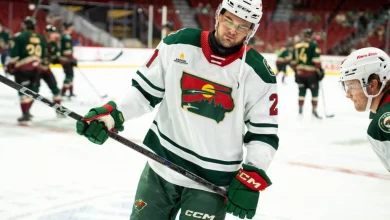 Minnesota Wild Recall David Spacek