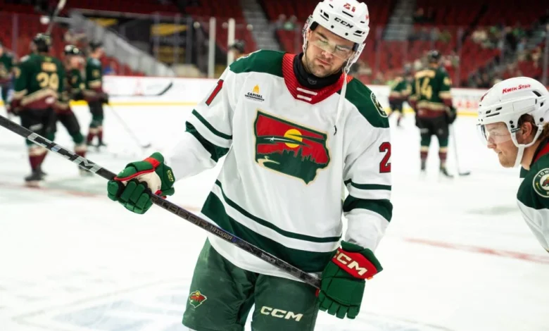 Minnesota Wild Recall David Spacek