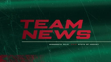 Minnesota Wild Recalls Defenseman David Špaček From Iowa