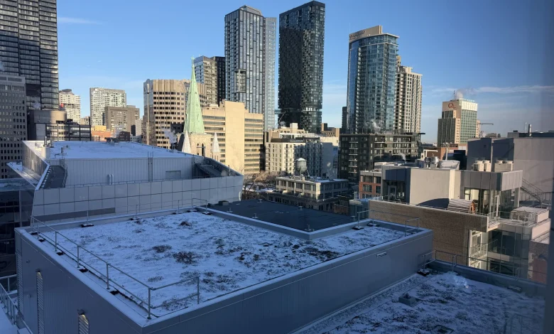 Montreal braces for frigid weekend with wind chills near -13 C