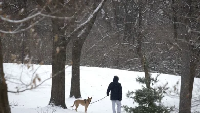 Montreal weather: Frigid temperatures fade with Cold Supermoon