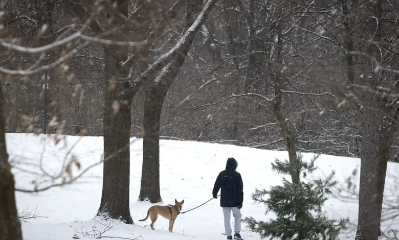 Montreal weather: Frigid temperatures fade with Cold Supermoon