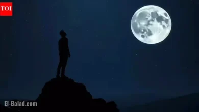 Moon Phase December 5, 2025: Affirmations and Manifestation Guide for Zodiac Signs