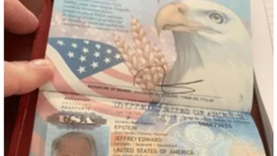 More Epstein photos released by Democrats show ‘Lolita’ references