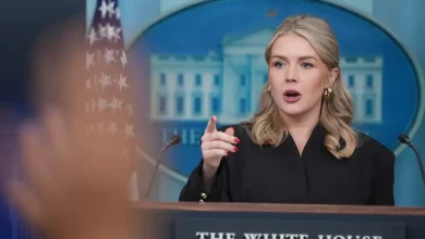 Mother of Karoline Leavitt’s Nephew Hits Out at Press Secretary After Release From ICE Detention