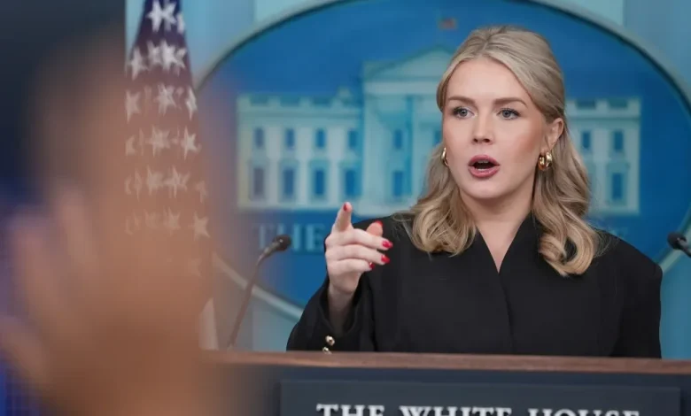 Mother of Karoline Leavitt’s Nephew Hits Out at Press Secretary After Release From ICE Detention