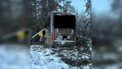 Multiple people injured as bus carrying minor hockey team crashes on QEII north of Edmonton