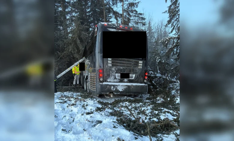 Multiple people injured as bus carrying minor hockey team crashes on QEII north of Edmonton