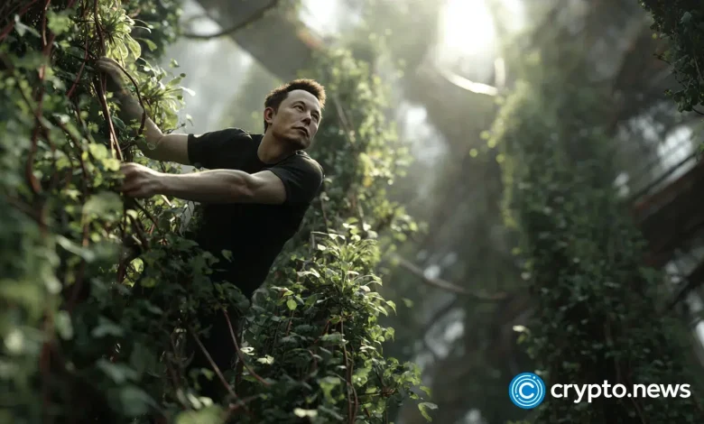 Musk: AI era could erase money, boost Bitcoin