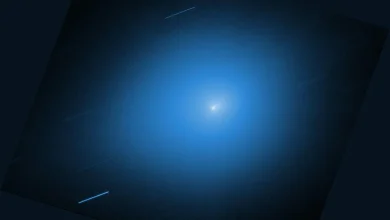NASA’s Hubble Space Telescope Revisits Interstellar Comet