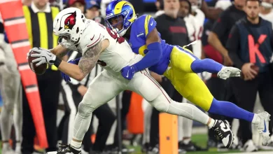 NFL Week 14 Seattle Seahawks playoff rooting guide: Go Cardinals! Go Packers!