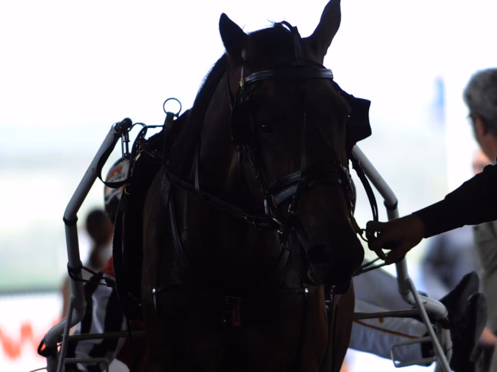 NSW harness facing fresh calls to review doping penalties