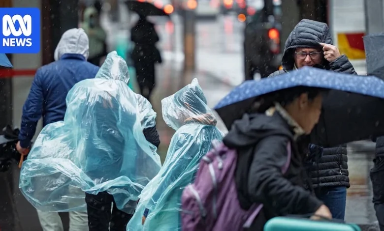 NSW to cop most widespread rain in months over coming days