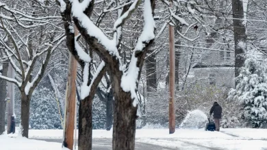 NWS says 'active' week ahead in Greater Akron with rain, snow and cold