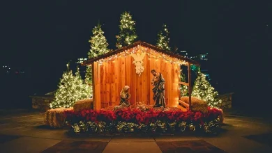 Nativity scenes flood the Vatican and the Catholic world