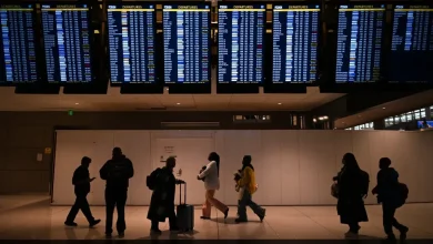 Nearly 350 flights delayed, handful canceled Sunday at DIA