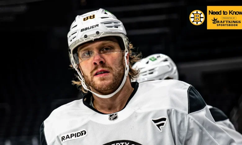 Need to Know: Bruins at Blues