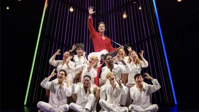 Neil Diamond Musical Shines