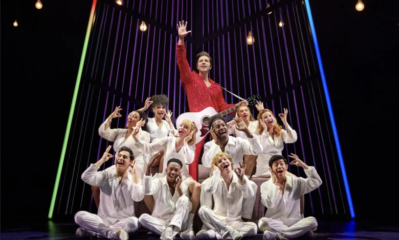 Neil Diamond Musical Shines