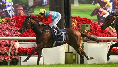 "Never been better": Why Ka Ying Rising is only now hitting career-best form