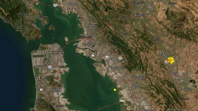 New California Earthquake Swarms Have People on Edge About the "Big One"