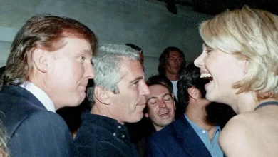 New Epstein photos show Trump, Clinton, Bill Gates, Woody Allen, Steve Bannon, Larry Summers and others