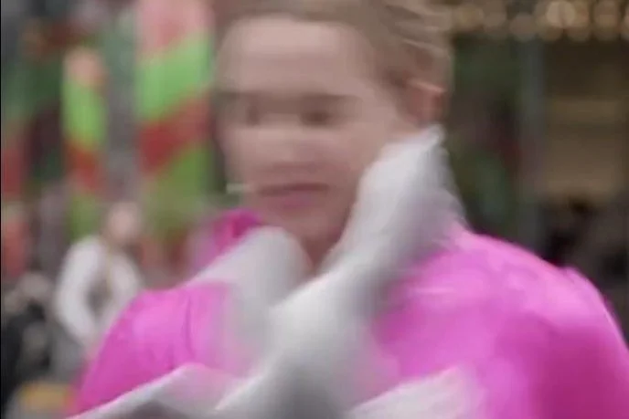 New Zealand reporter struck by bird during outdoor segment