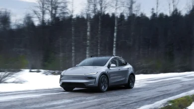 New record: Almost 100% EV registrations in November