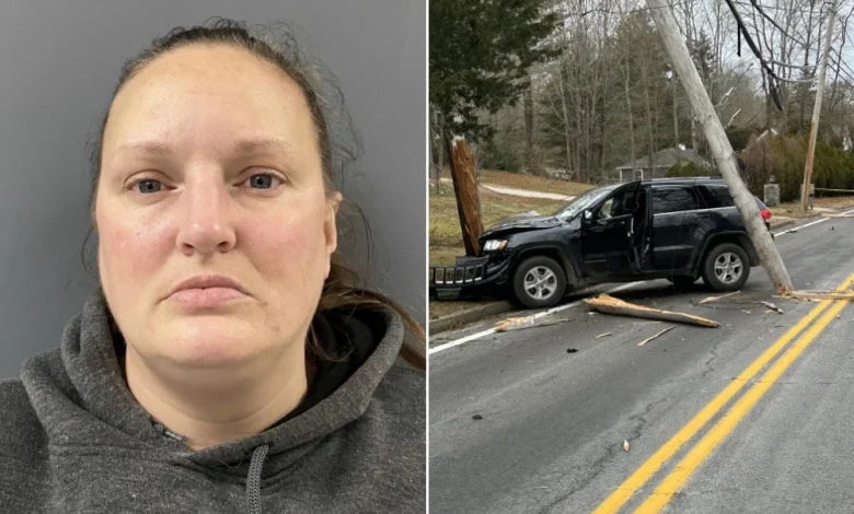 News | RI Woman Previously Arrested 100 Times Charged in Death of Pedestrian