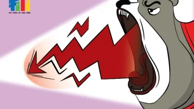 Nhịp đập Thị trường 12/12: Sắc đỏ bao phủ