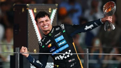 Norris wins first F1 world title after tense finale
